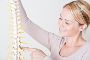 spine in back pain